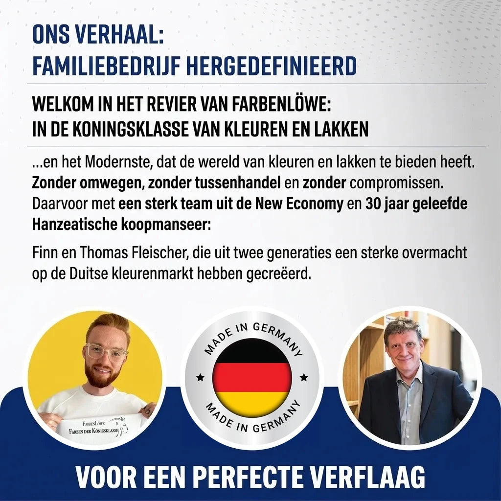 Infografiek over familiebedrijf Farbenlöwe: direct verkoop van verf, kwaliteit en oprichters Finn & Thomas.